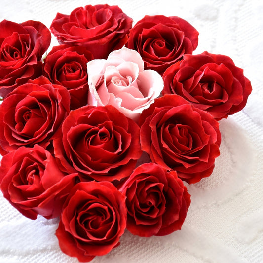 The Language of Love