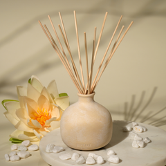 Diffuser Oil Refill | Balance