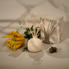 Diffuser Oil Refill | Nostalgia