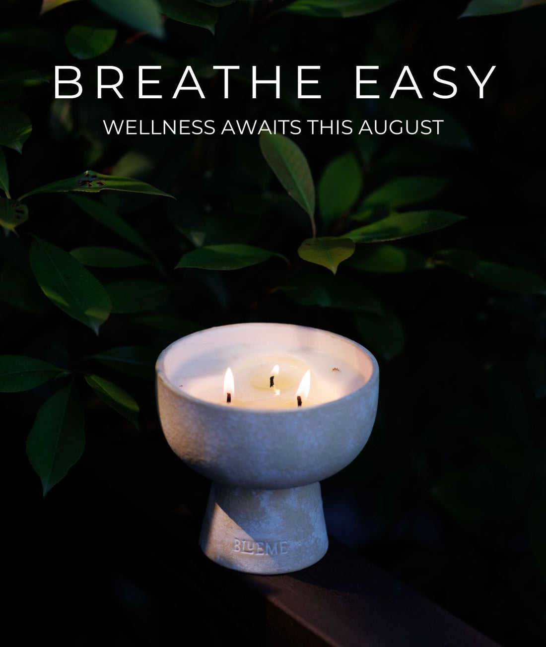 Infuse Luxury, Ignite Calm