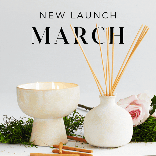 Blueme Newsletter MAR 3/12 - Diffuser Launch and NYC Event Recap