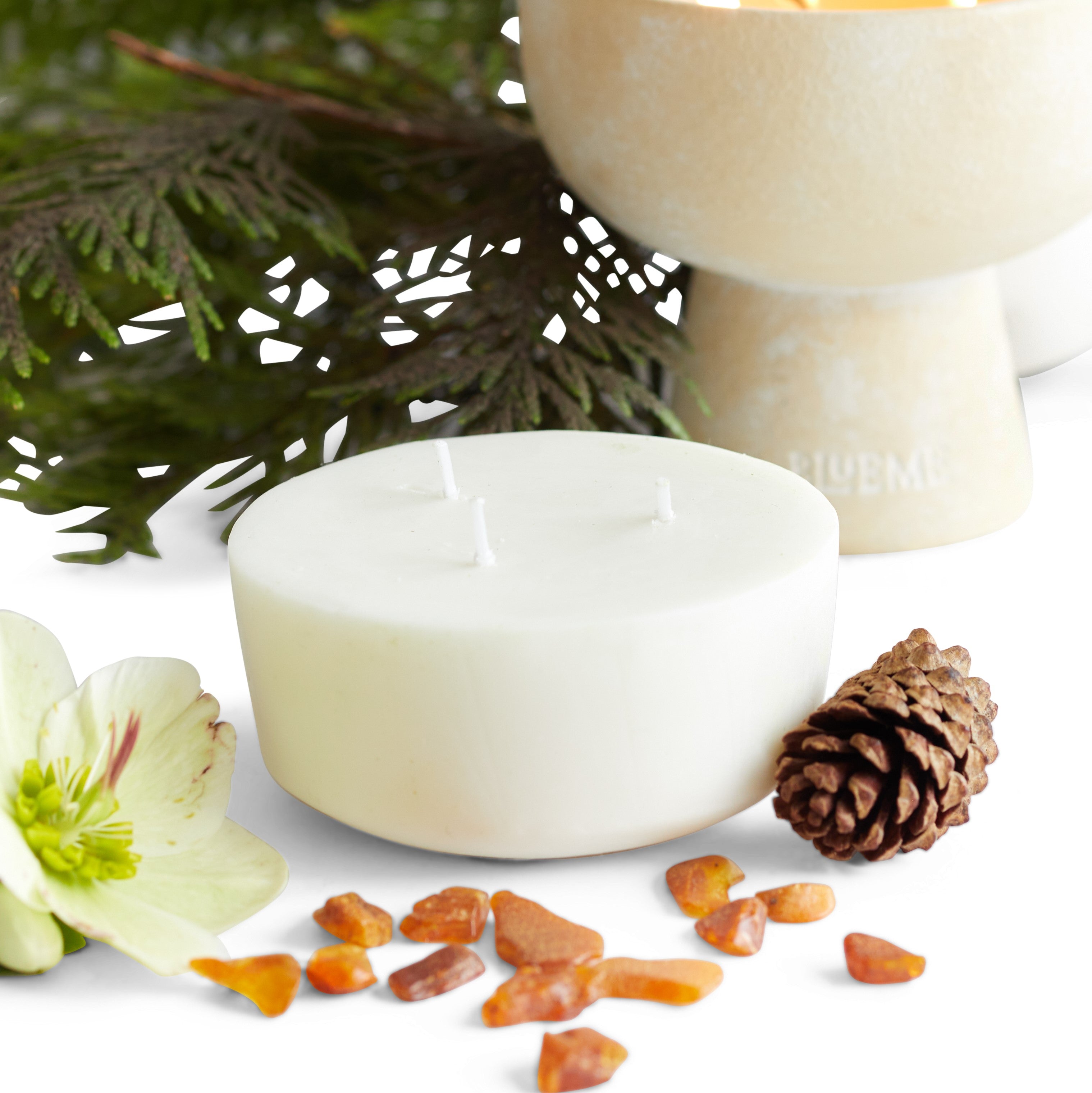 Festive Recandle - Wax Refill - Noble Fir & Amber