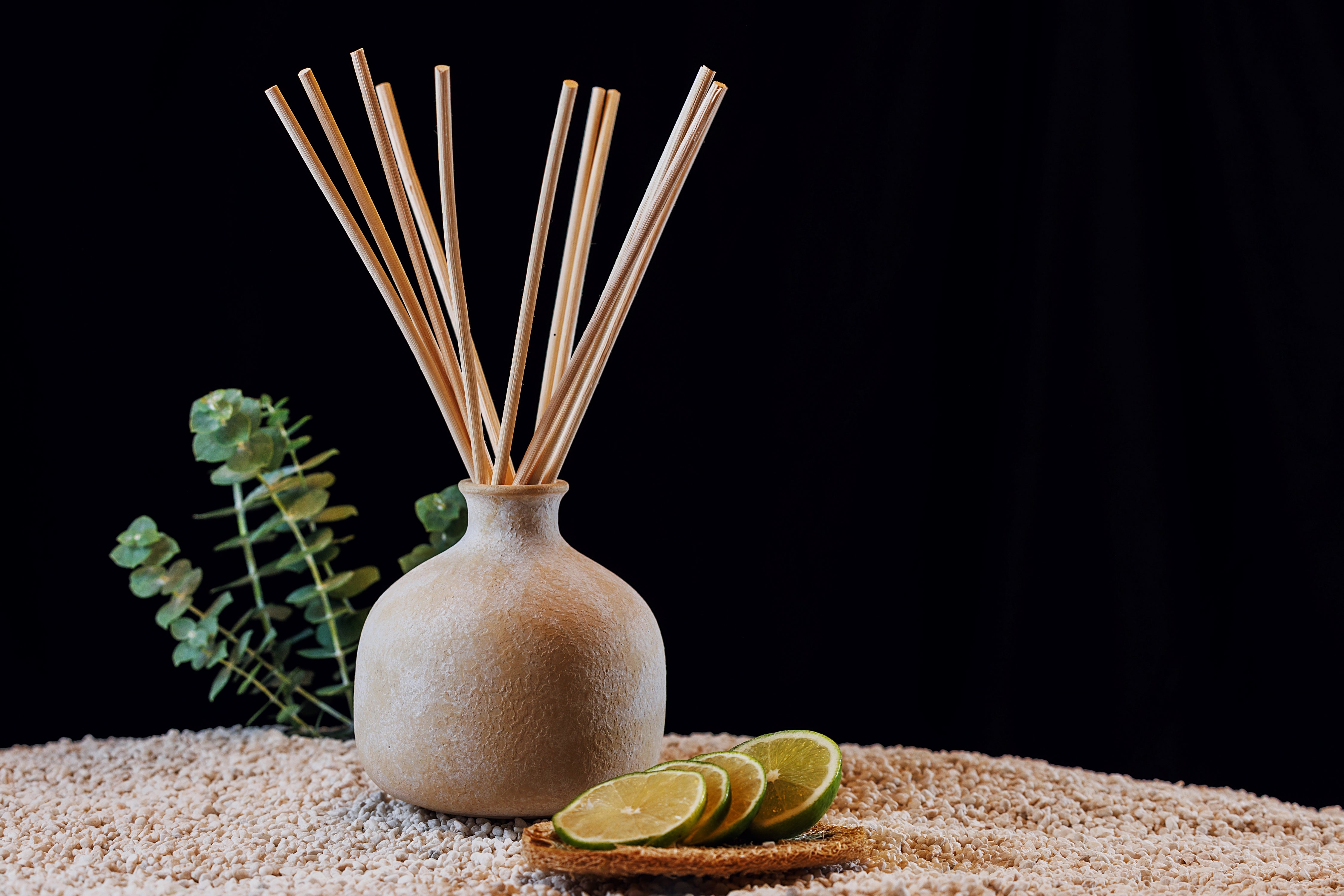 Bundle | Large Ceramic Refillable Wellness Diffuser + Refill | Focus - Eucalyptus & Lime