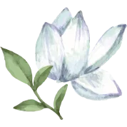 Balance_Watercolor_Image_c6bbe446-1761-4baa-bfd1-b84180d1322c