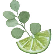 Focus_Watercolor_Image_9afa8cc2-6473-4699-bde5-7f80ce4df925