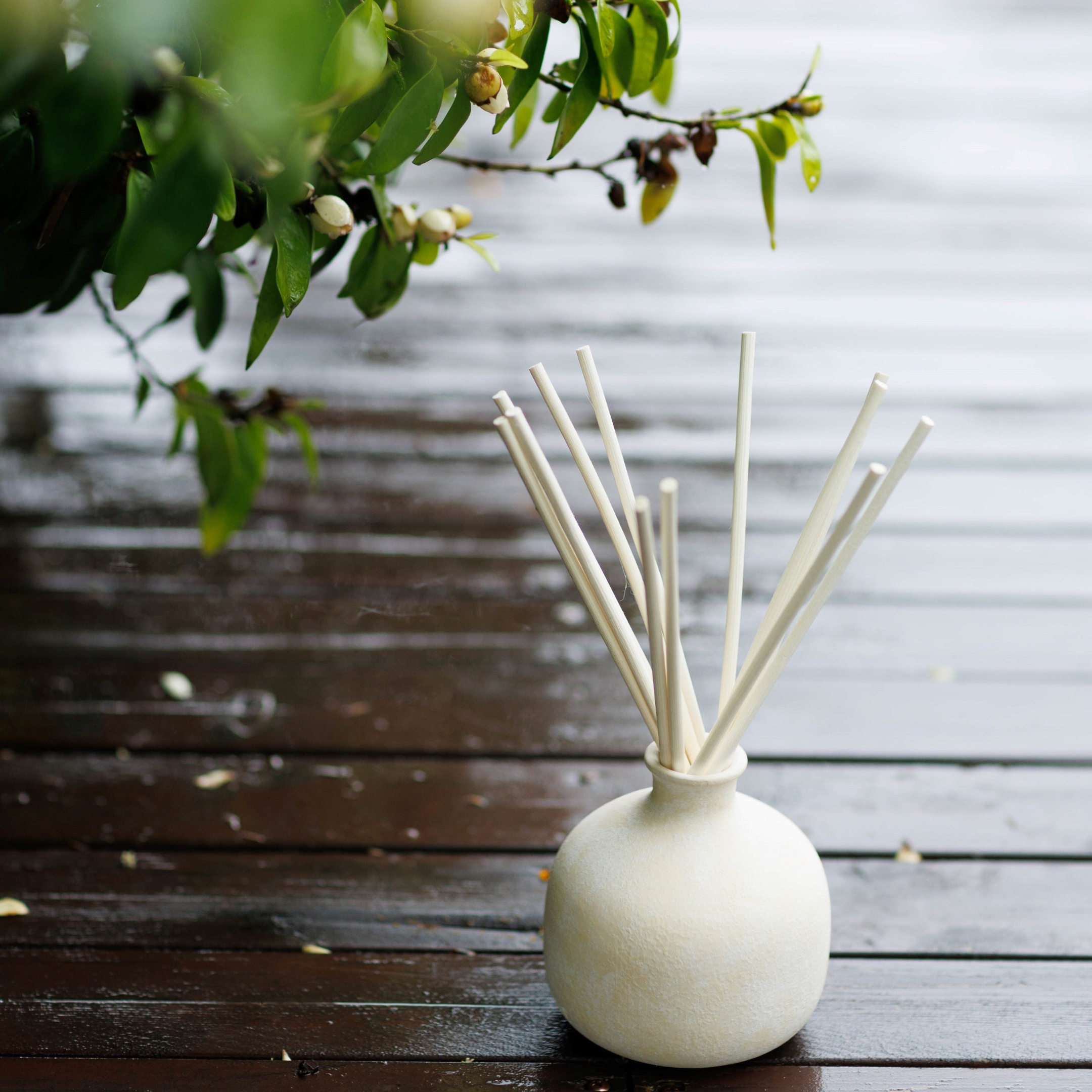 Happiness - Ceramic Refillable Diffuser - Yuzu & Ginger