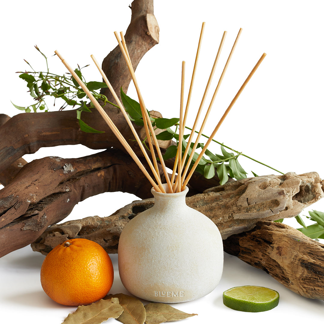 Ceramic Diffucer Nostalgia - Ceramic Refillable Diffuser - Bergamot & Musk – Blueme