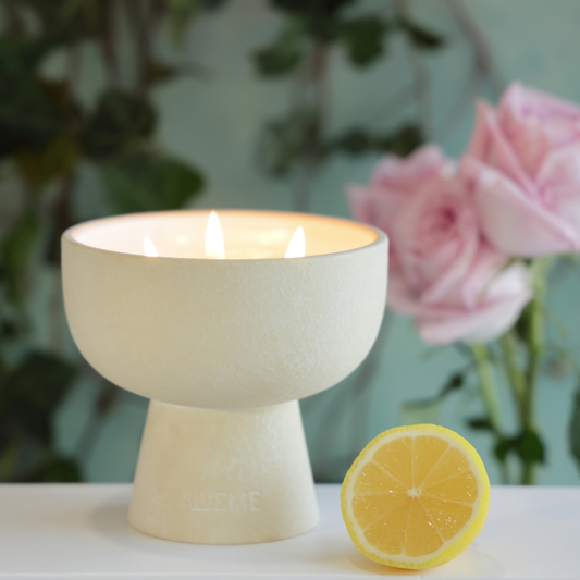 Renew - Ceramic Refillable Candle - Ivy & Rose
