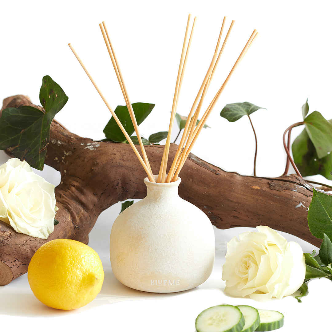 Renew - Ceramic Refillable Diffuser - Ivy & Rose – Blueme