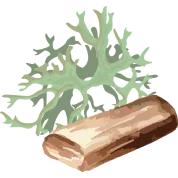 Romance_Watercolor_Image