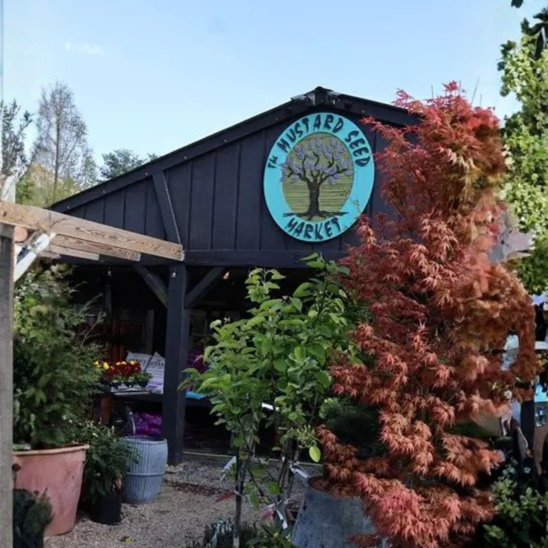 The Mustard Seed