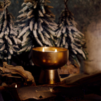 Holiday Candle | Festive Medium 12 oz