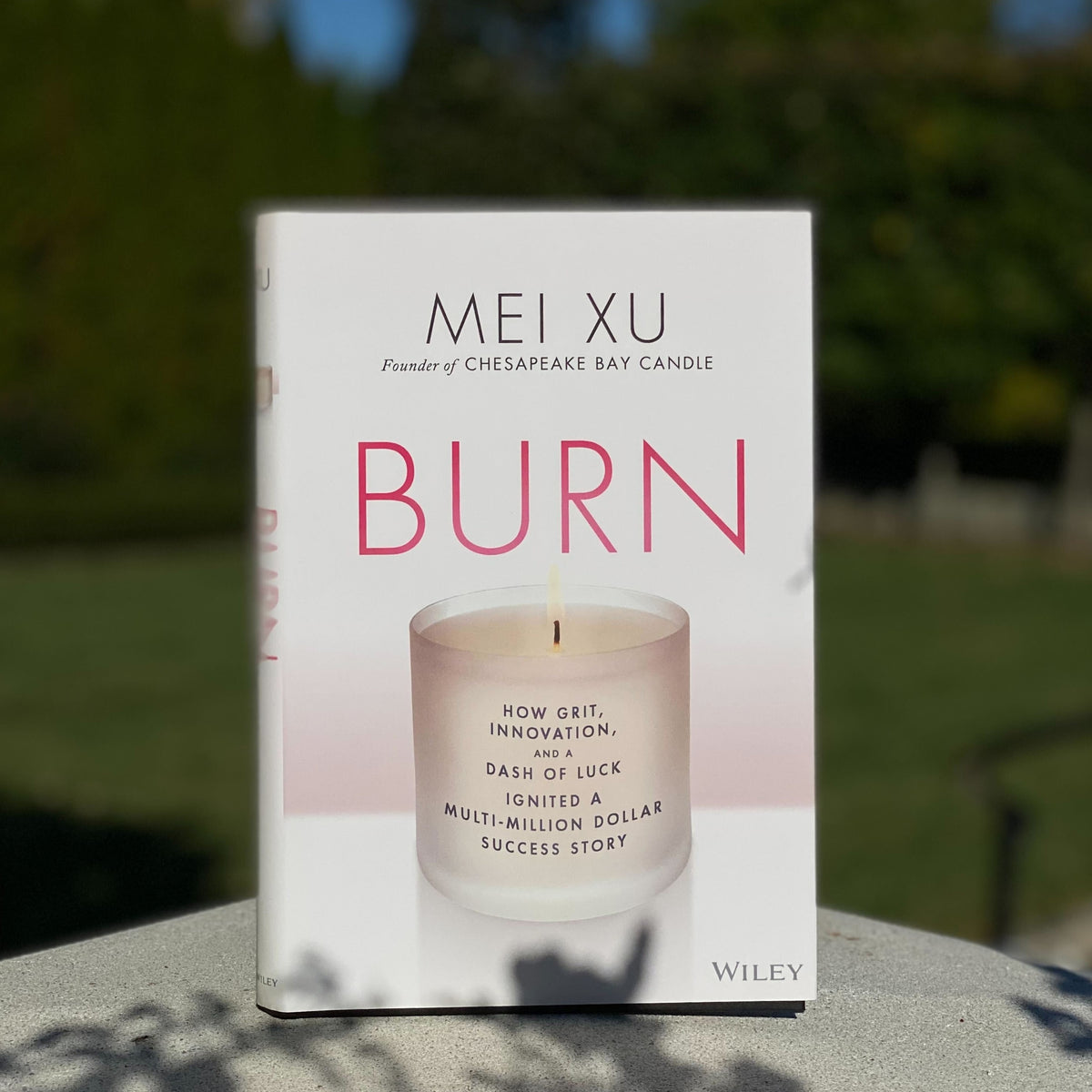 burn a mei xu journey