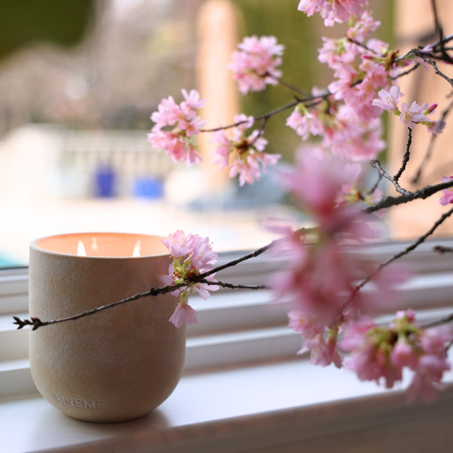 Clarity | Cherry Blossom & Patchouli