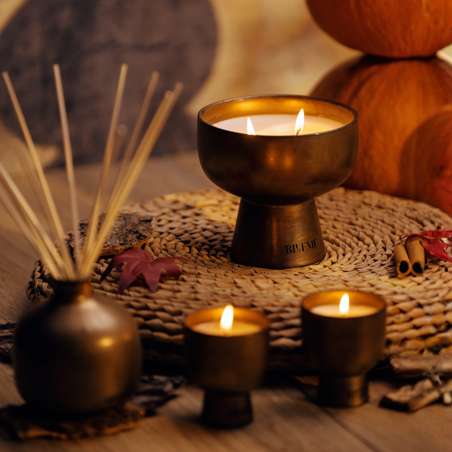 Comfort | Wild Sage & Pumpkin